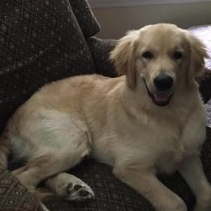 Meet your Posher, Dana